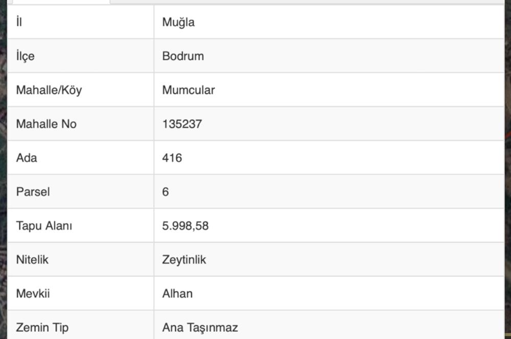 Mumcular'da 3.335 m2 Yerleşim yerlerine yakın Satılık zeytinlik 