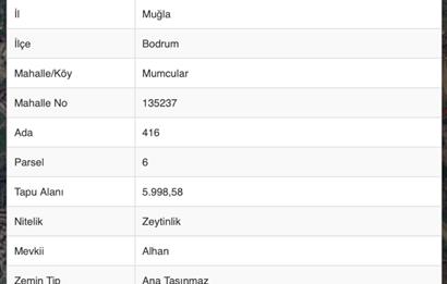 Mumcular'da 3.335 m2 Yerleşim yerlerine yakın Satılık zeytinlik 