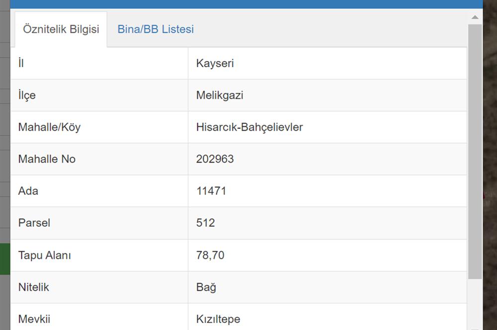 Hisarcık Kızıl Tepe de Bakımlı Satılık Üzüm Bağı