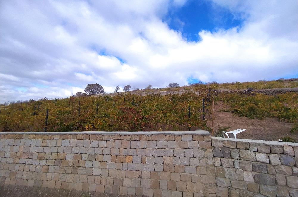 Hisarcık Kızıl Tepe de Bakımlı Satılık Üzüm Bağı