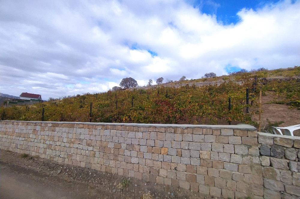 Hisarcık Kızıl Tepe de Bakımlı Satılık Üzüm Bağı