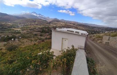 Hisarcık Kızıl Tepe de Bakımlı Satılık Üzüm Bağı