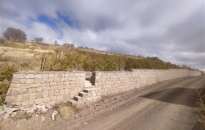 Hisarcık Kızıl Tepe de Bakımlı Satılık Üzüm Bağı