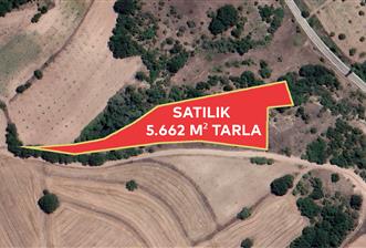 ''CENTURY 21 PROJECT'' BİLECİK GÖLPAZARI SATILIK 5.662 M2 TARLA