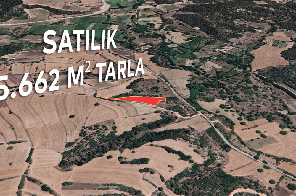 ''CENTURY 21 PROJECT'' BİLECİK GÖLPAZARI SATILIK 5.662 M2 TARLA