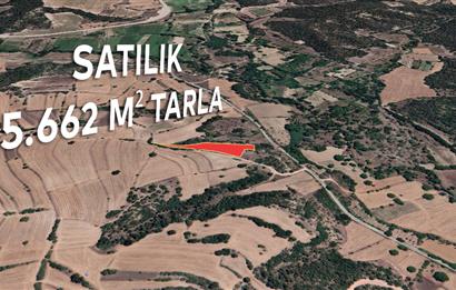 ''CENTURY 21 PROJECT'' BİLECİK GÖLPAZARI SATILIK 5.662 M2 TARLA