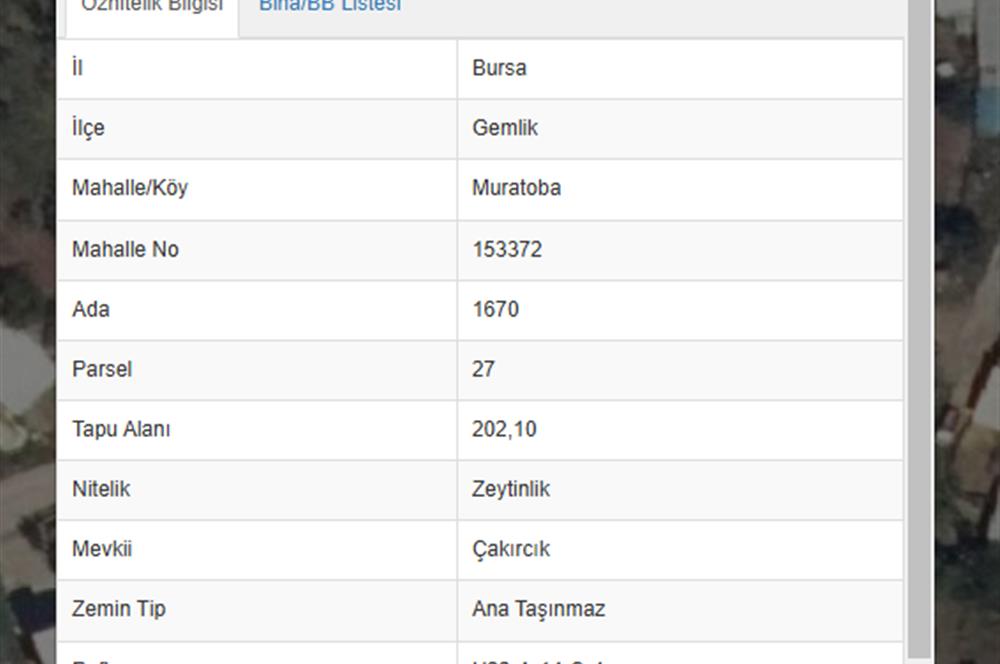  C21 Cius; Bursa/Gemlik Muratoba Köyünde Satılık 202 m2 Zeytinlik      