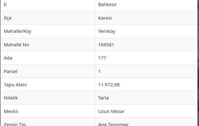 CENTURY 21 BAL'DAN KARESİ YENİKÖYDE SATILIK TARLALAR