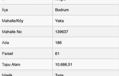 Satılık Bodrum Yaka Mahallesi'nde Yatırımlık Zeytinlik ve Tarla