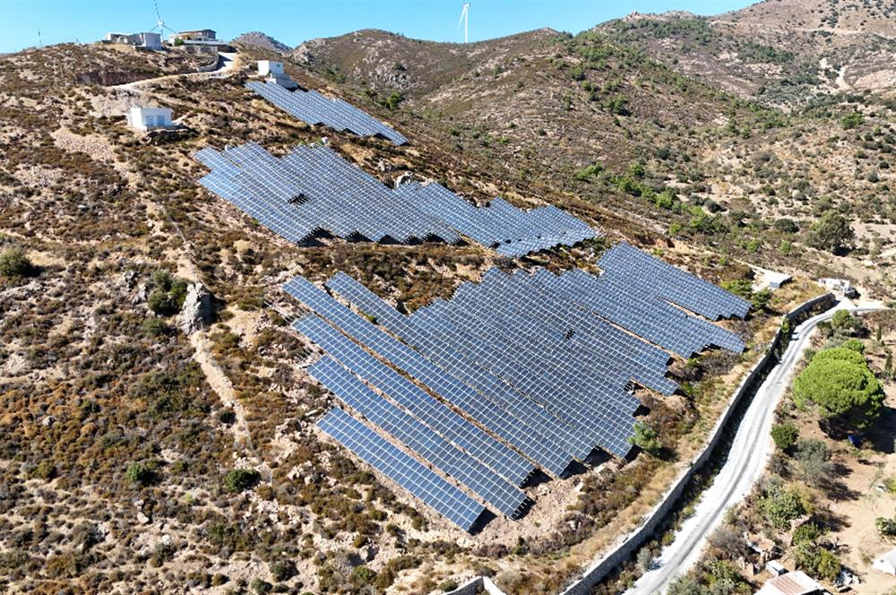 Satılık Bodrum Yaka Mahallesi'nde Yatırımlık Zeytinlik ve Tarla