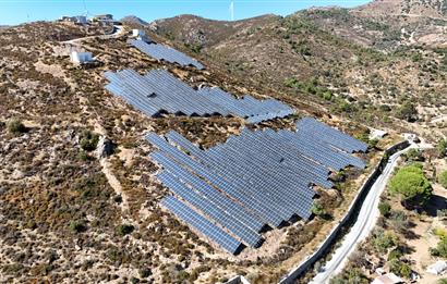 Satılık Bodrum Yaka Mahallesi'nde Yatırımlık Zeytinlik ve Tarla