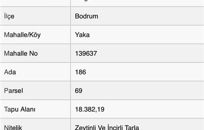 Satılık Bodrum Yaka Mahallesi'nde Yatırımlık Zeytinlik ve Tarla