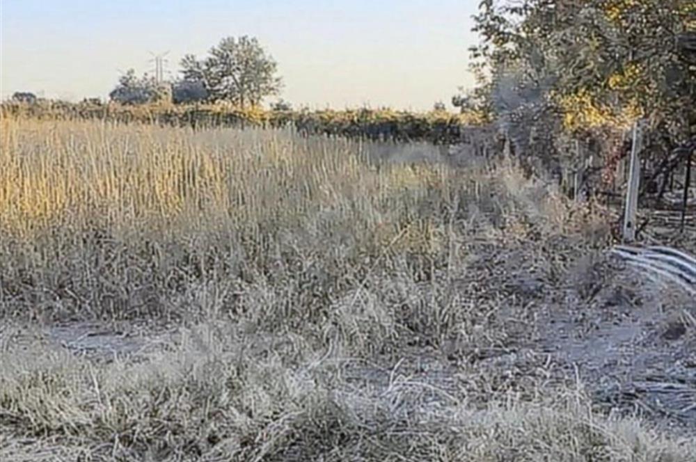 ANTALYA DÖŞEMEALTI KOVANLIK SATILIK TARLA