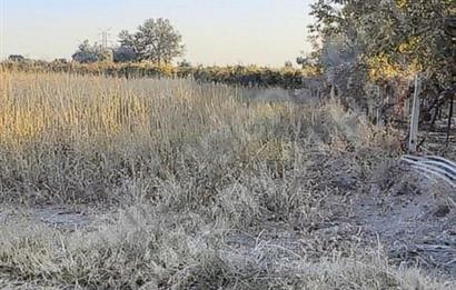 ANTALYA DÖŞEMEALTI KOVANLIK SATILIK TARLA