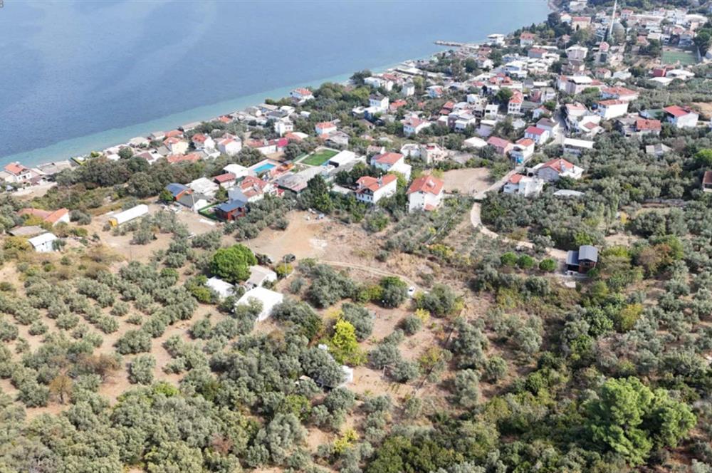 MUDANYA ALTINTAŞ EN GÜZEL BÖLGEDE DÜZ ZEMİN SATILIK HOBİ BAHÇESİ