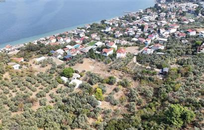 MUDANYA ALTINTAŞ EN GÜZEL BÖLGEDE DÜZ ZEMİN SATILIK HOBİ BAHÇESİ