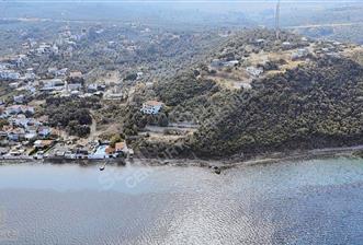 MUDANYA ALTINTAŞ EN GÜZEL BÖLGEDE DÜZ ZEMİN SATILIK HOBİ BAHÇESİ