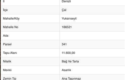 ÇAL YUKARISEYİT'TE SATILIK 11.600 m² TARLA