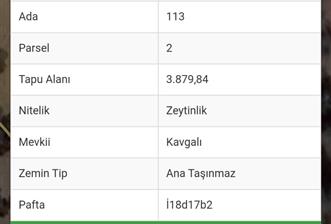 Balıkesir Havran Tepeoba köyünde 3879 m2 Zeytinlik 