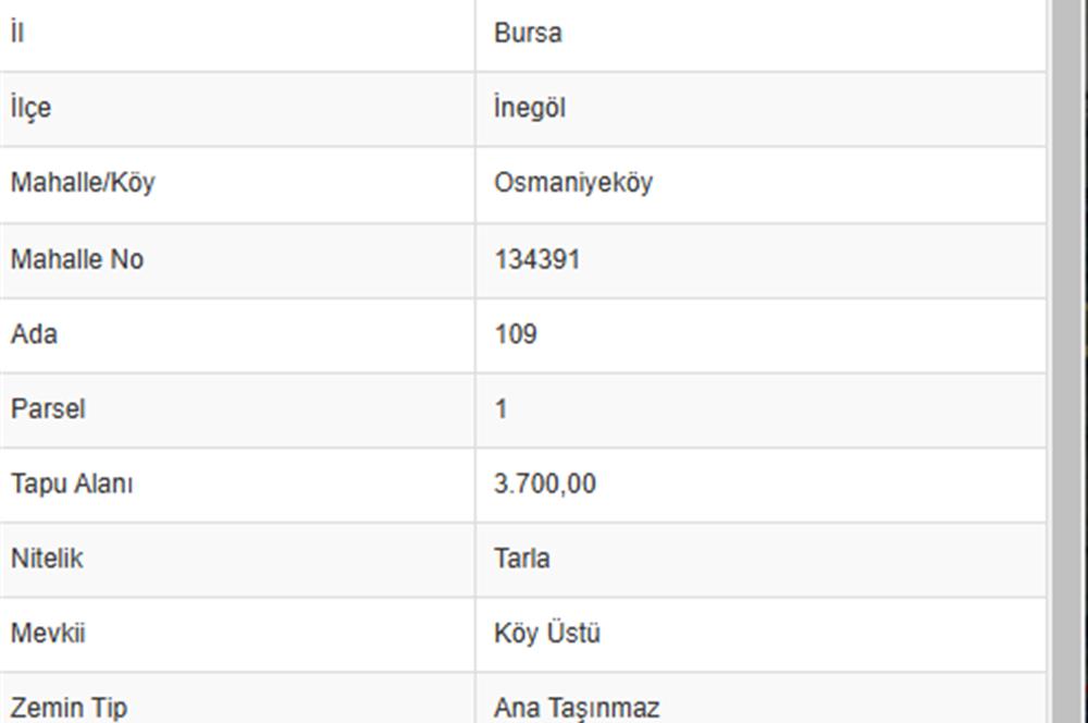 C21 Cius;İnegöl'de Bursa Eskişehir Yol Kenarı 3.700m² Tarla