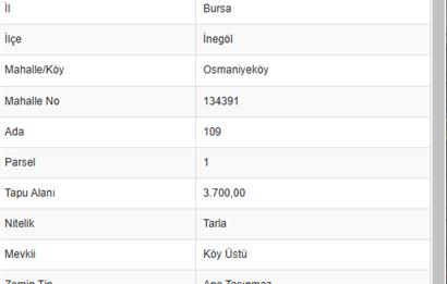 C21 Cius;İnegöl'de Bursa Eskişehir Yol Kenarı 3.700m² Tarla