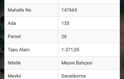 KARTEPE EŞME'DE SAPANCA GÖLÜ MANZARALI SATILIK TARLA