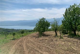 KARTEPE EŞME'DE SAPANCA GÖLÜ MANZARALI SATILIK TARLA