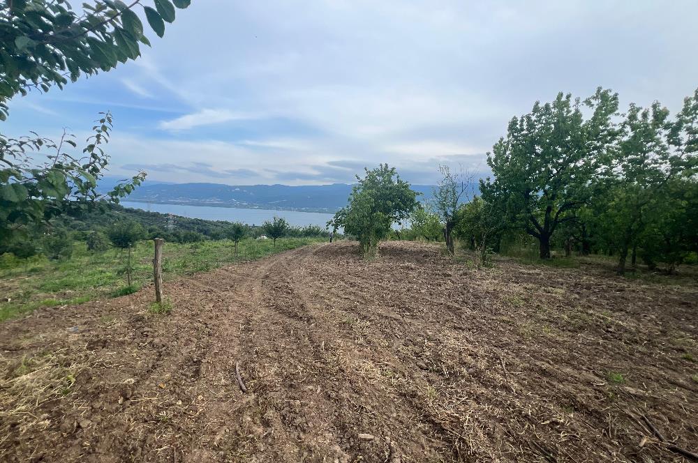 KARTEPE EŞME'DE SAPANCA GÖLÜ MANZARALI SATILIK TARLA