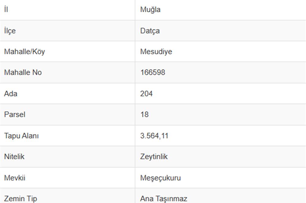 Satılık Deniz Manzaralı Kadastral Yola 75m Mesafede 3.564m2 Zeytinlik