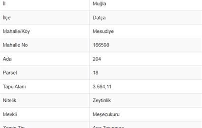 Satılık Deniz Manzaralı Kadastral Yola 75m Mesafede 3.564m2 Zeytinlik