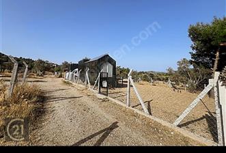 Urla Güvendik'te Deniz Manzaralı Arsa