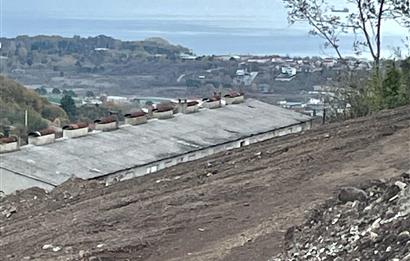 BAŞİSKELEDE DENİZ MANZARALI KAÇIRILMAYACAK İMARLI FIRSAT ARSA