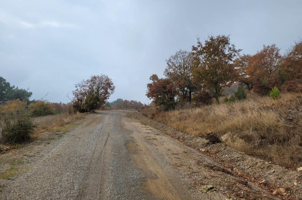 C21 BAL'DAN SAVAŞTEPE TAVŞANCIK MAH. ASFALT KENARI SATILIK TARLA