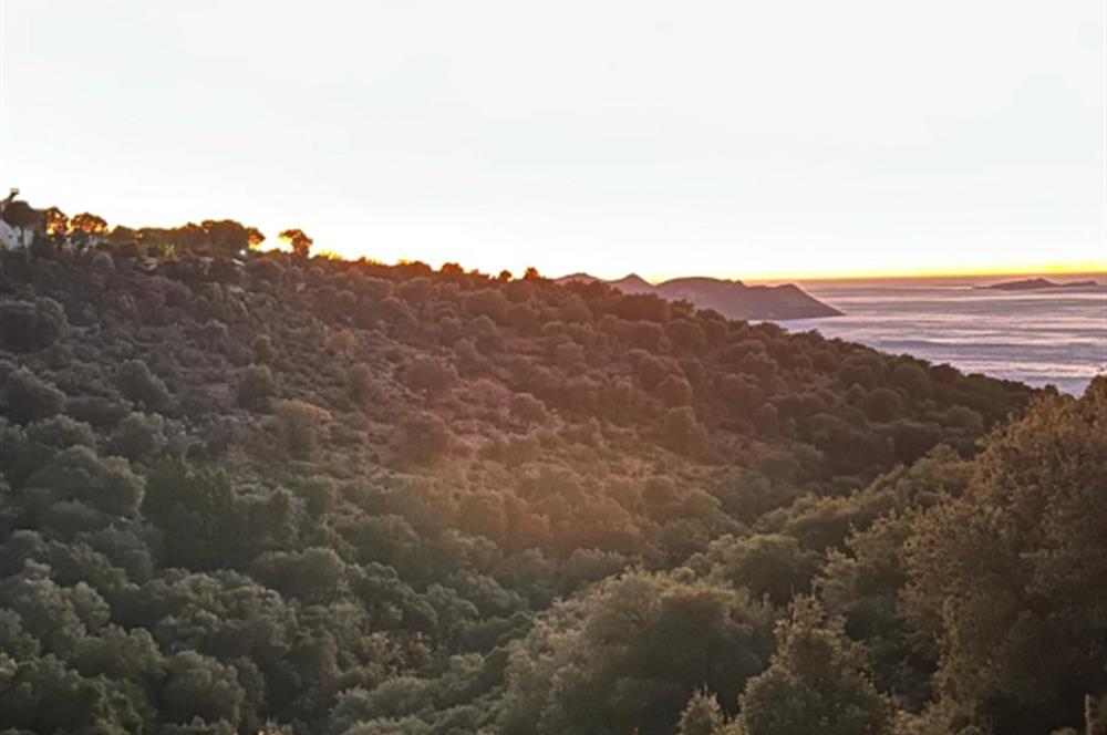 ANTALYA KAŞ BAYINDIR SATILIK ARSA