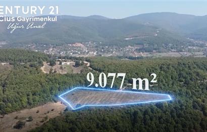 C21 Cius; Bursa/Gemlik Haydariye Köyünde 9.077 M2 Satılık Tarla