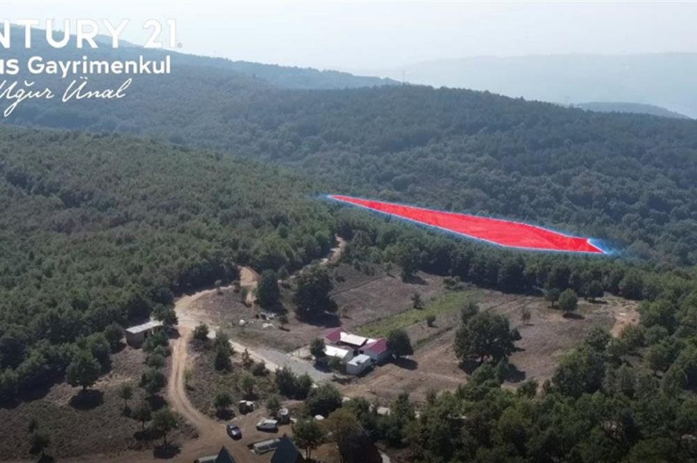 C21 Cius; Bursa/Gemlik Haydariye Köyünde 9.077 M2 Satılık Tarla