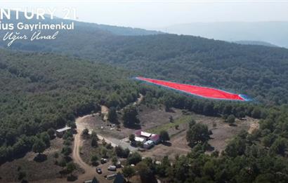 C21 Cius; Bursa/Gemlik Haydariye Köyünde 9.077 M2 Satılık Tarla