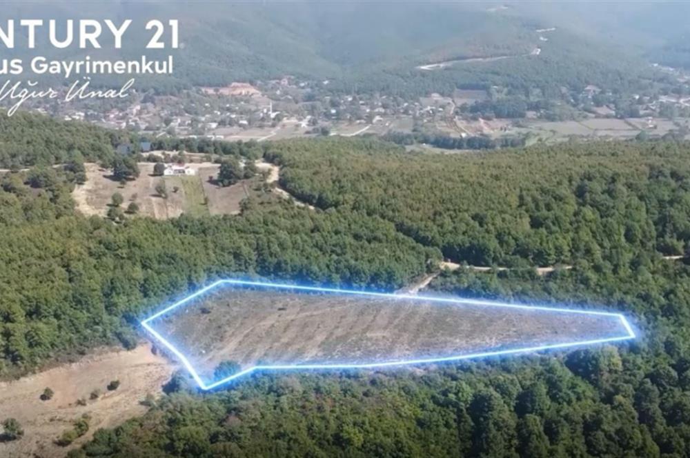 C21 Cius; Bursa/Gemlik Haydariye Köyünde 9.077 M2 Satılık Tarla