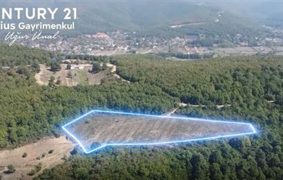 C21 Cius; Bursa/Gemlik Haydariye Köyünde 9.077 M2 Satılık Tarla