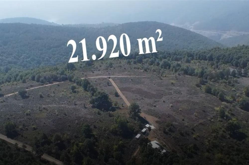 C21 Cius; Bursa/Gemlik Haydariye Köyünde 21.920 M2 Satılık Tarla