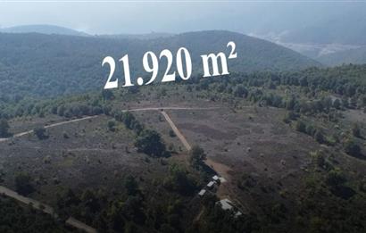 C21 Cius; Bursa/Gemlik Haydariye Köyünde 21.920 M2 Satılık Tarla