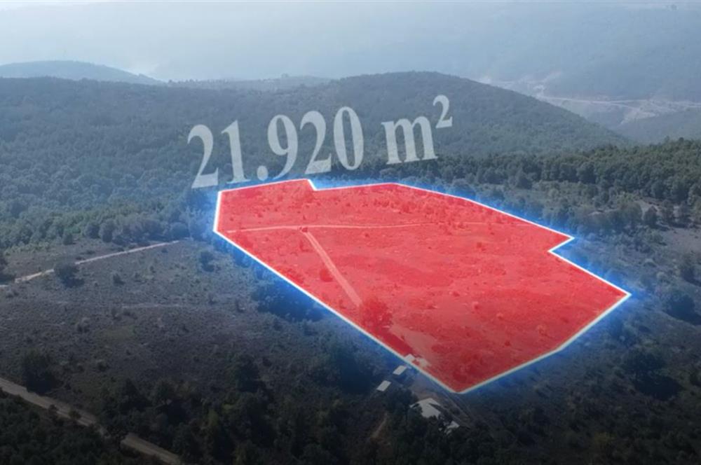 C21 Cius; Bursa/Gemlik Haydariye Köyünde 21.920 M2 Satılık Tarla