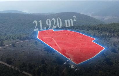 C21 Cius; Bursa/Gemlik Haydariye Köyünde 21.920 M2 Satılık Tarla