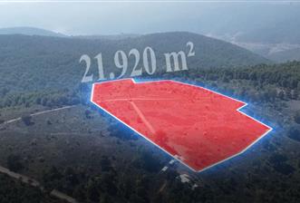 C21 Cius; Bursa/Gemlik Haydariye Köyünde 21.920 M2 Satılık Tarla