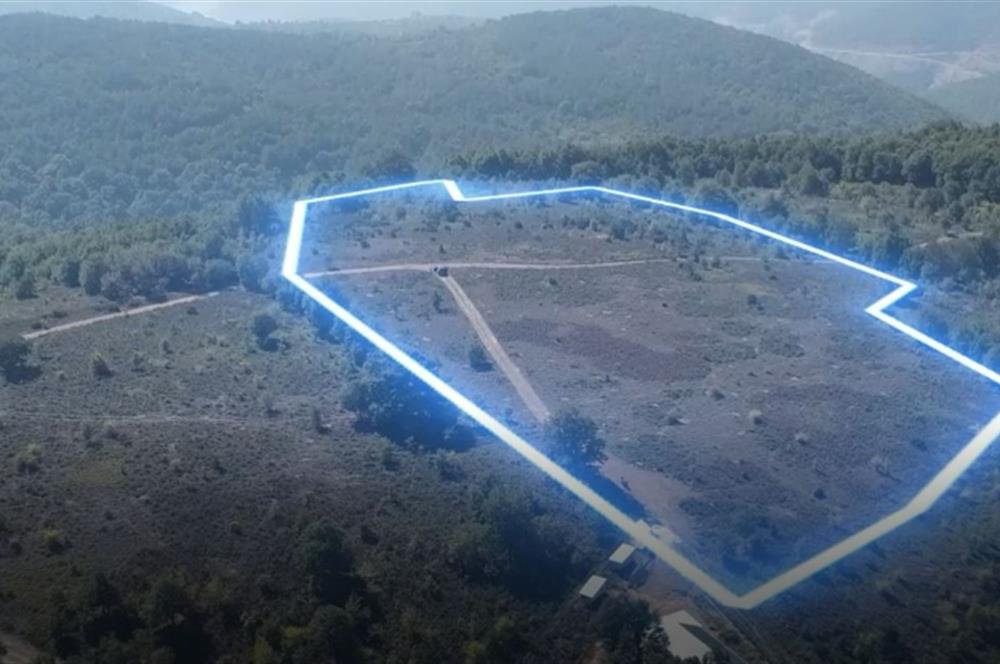 C21 Cius; Bursa/Gemlik Haydariye Köyünde 21.920 M2 Satılık Tarla