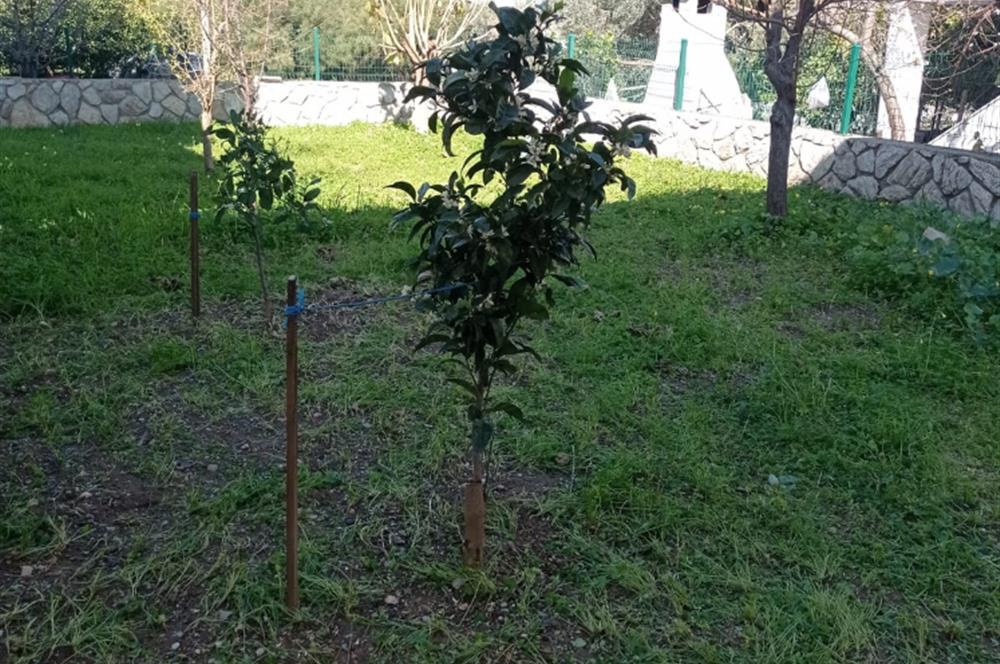 Datça Merkezde Satılık Müstakil Villa: Huzur ve Konfor Bir Arada