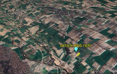 CENTURY21'DEN SATILIK KIRKLARELİ MERKEZ'E YAKIN 1450 M2 BAĞ YERİ