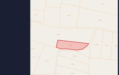 CENTURY21'DEN SATILIK KIRKLARELİ MERKEZ'E YAKIN 1450 M2 BAĞ YERİ