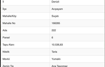 ACIPAYAM SUÇATI'NDA SATILIK TARLA