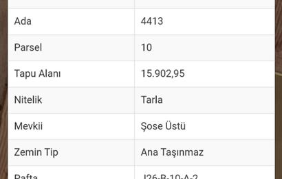 Century21 Vizyon 2'DEN ESKİŞEHİR/YENİKÖY'DE TEK TAPU SATILIK TARLA